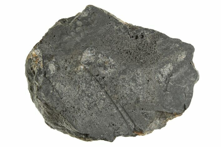 Eucrite Meteorite ( g) Section - From Vesta Minor-Planet #304274